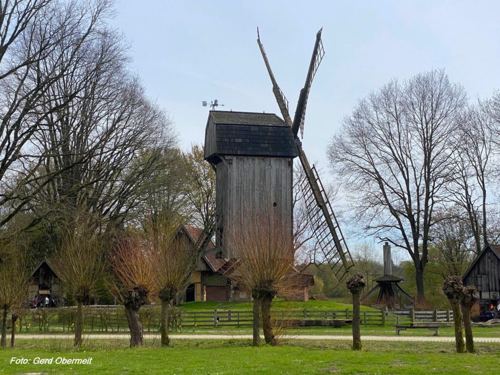 Heimatverein Bodelschwingh und Westerfilde e.V., Tagesausflug nach Münster am 4. Juli 2023