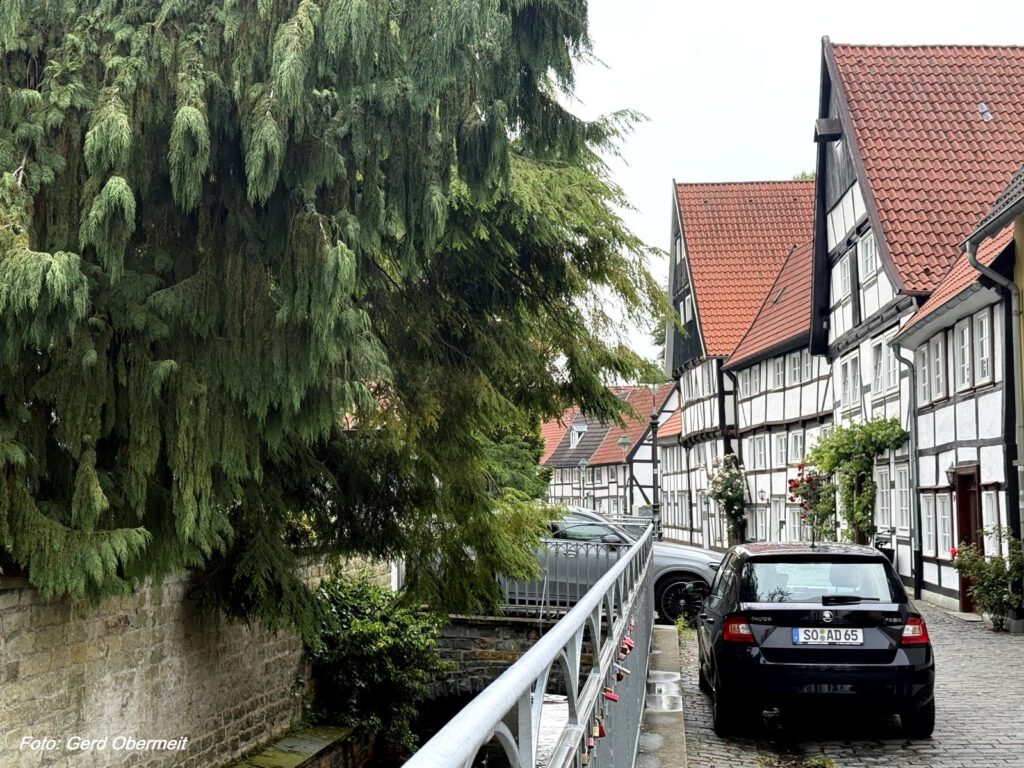 Ausflug vom Heimatverein Bodelschwingh und Westerfilde e.V. am 31. Mai 2026 zum Möhnesee und nach Soest